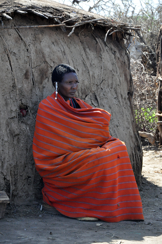 Ngorongoro Crater - Serengeti National Park